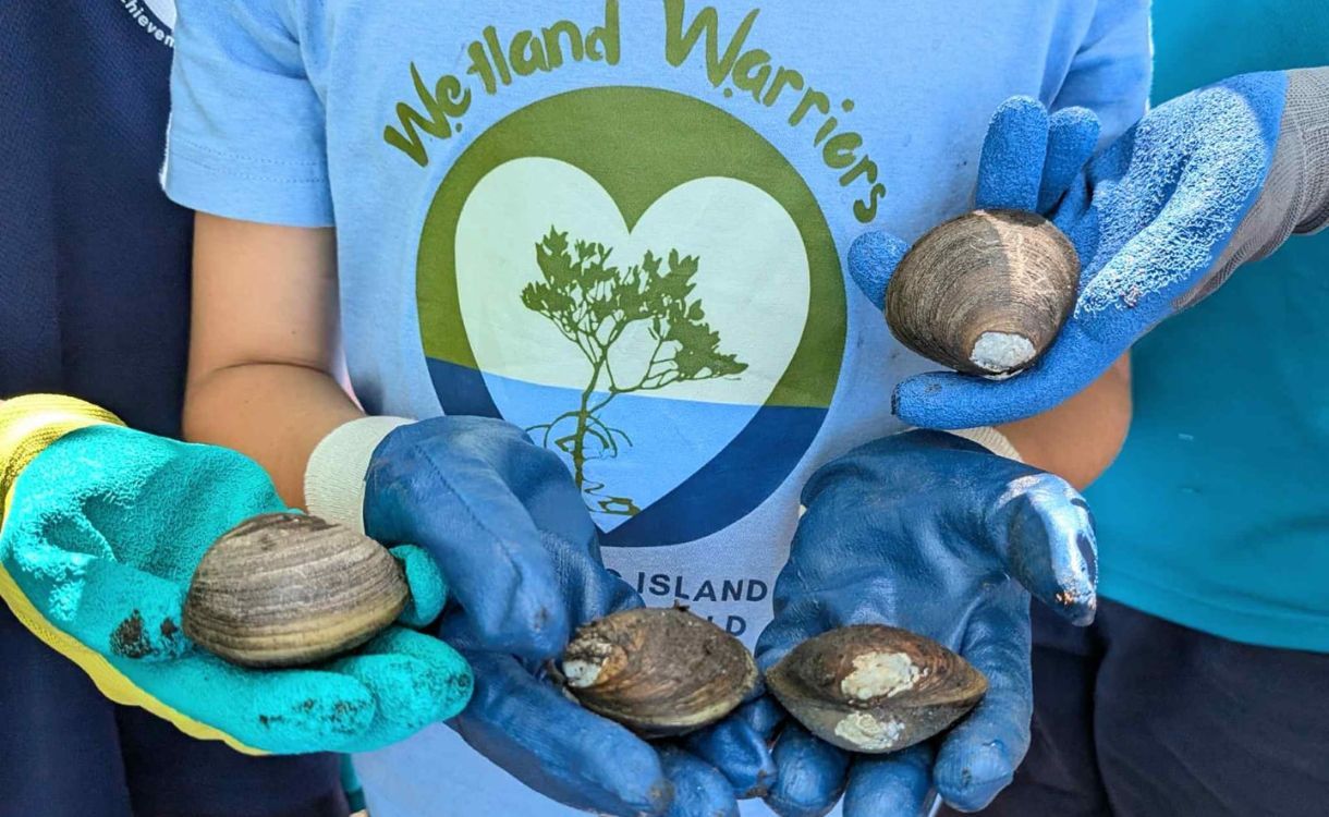 wetlandwarriors