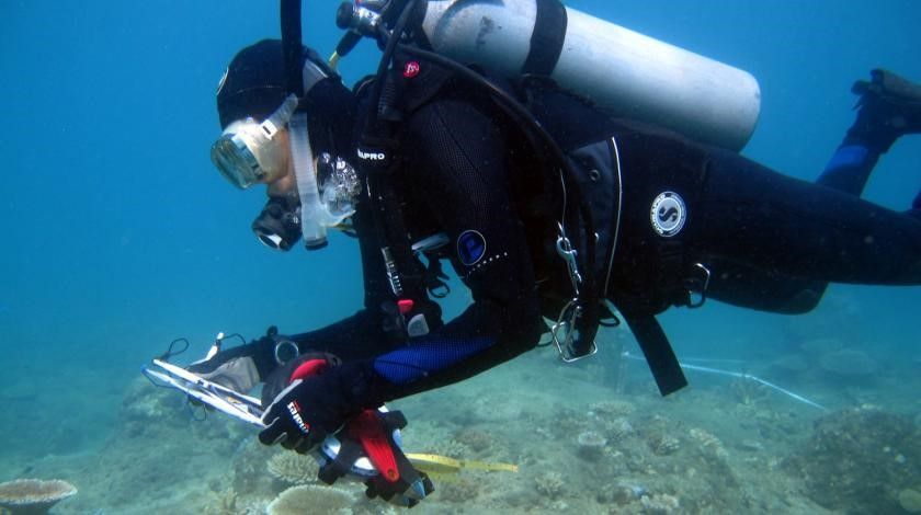 diver taking samples