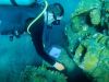 Diver taking samples