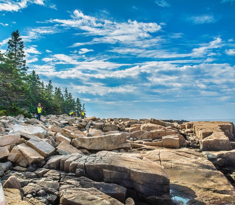 Climate Change: Sea to Trees at Acadia National Park