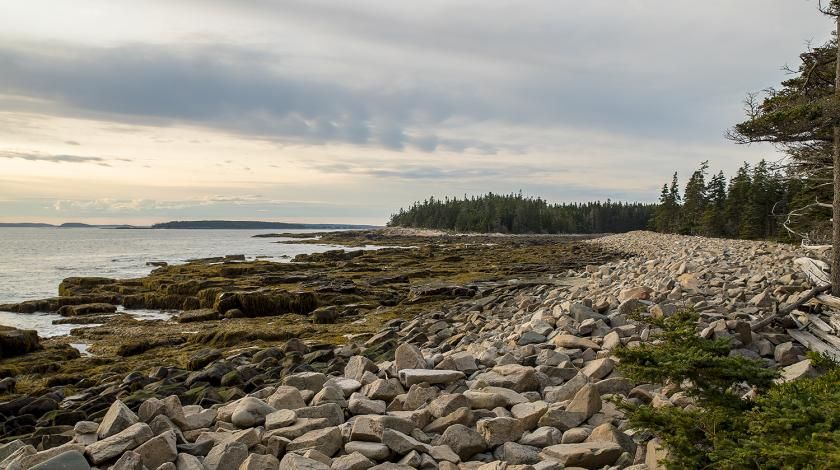Climate Change Sea to Trees at Acadia National Park